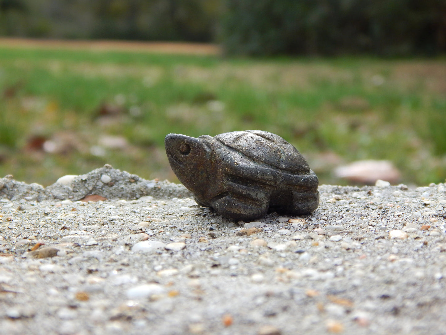 Iron pyrite crystal turtle carving