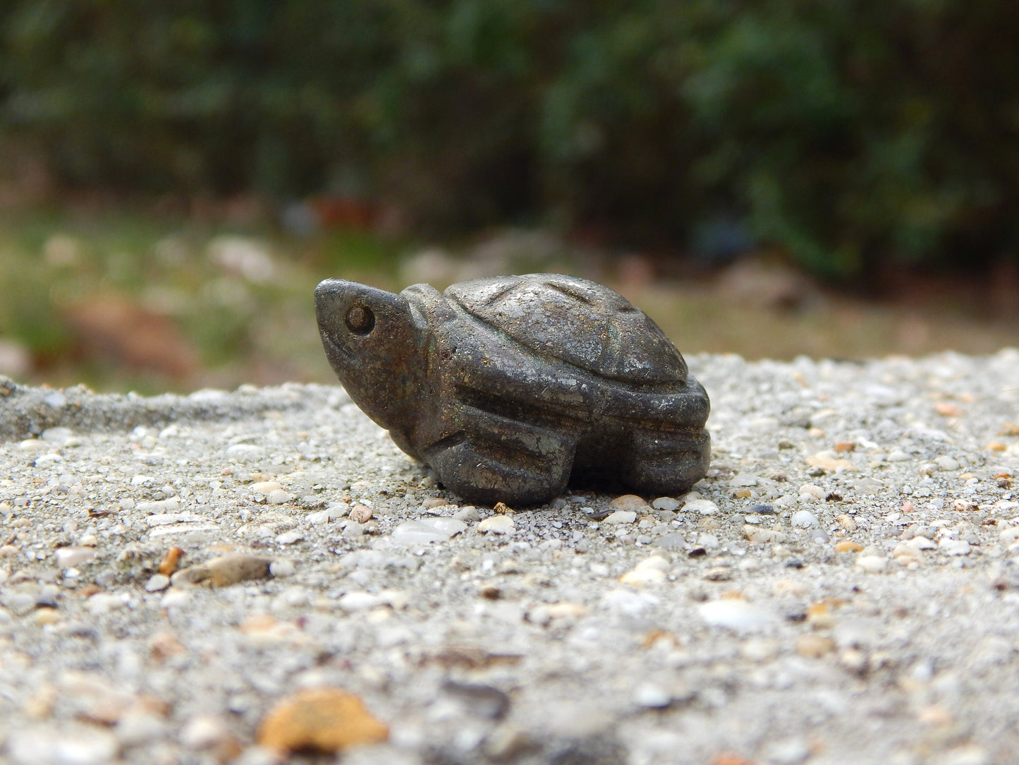 Iron pyrite crystal turtle carving
