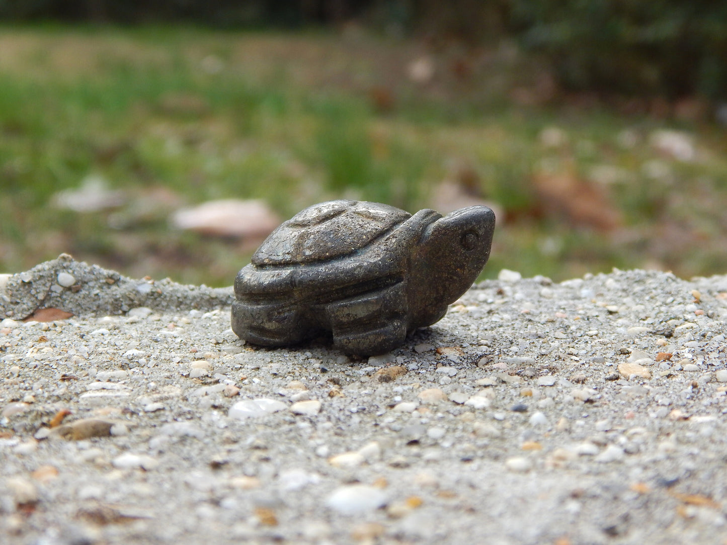 Iron pyrite crystal turtle carving