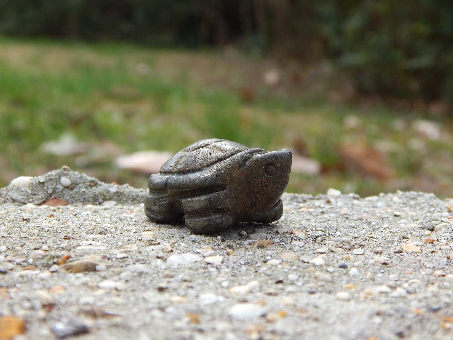Iron pyrite crystal turtle carving