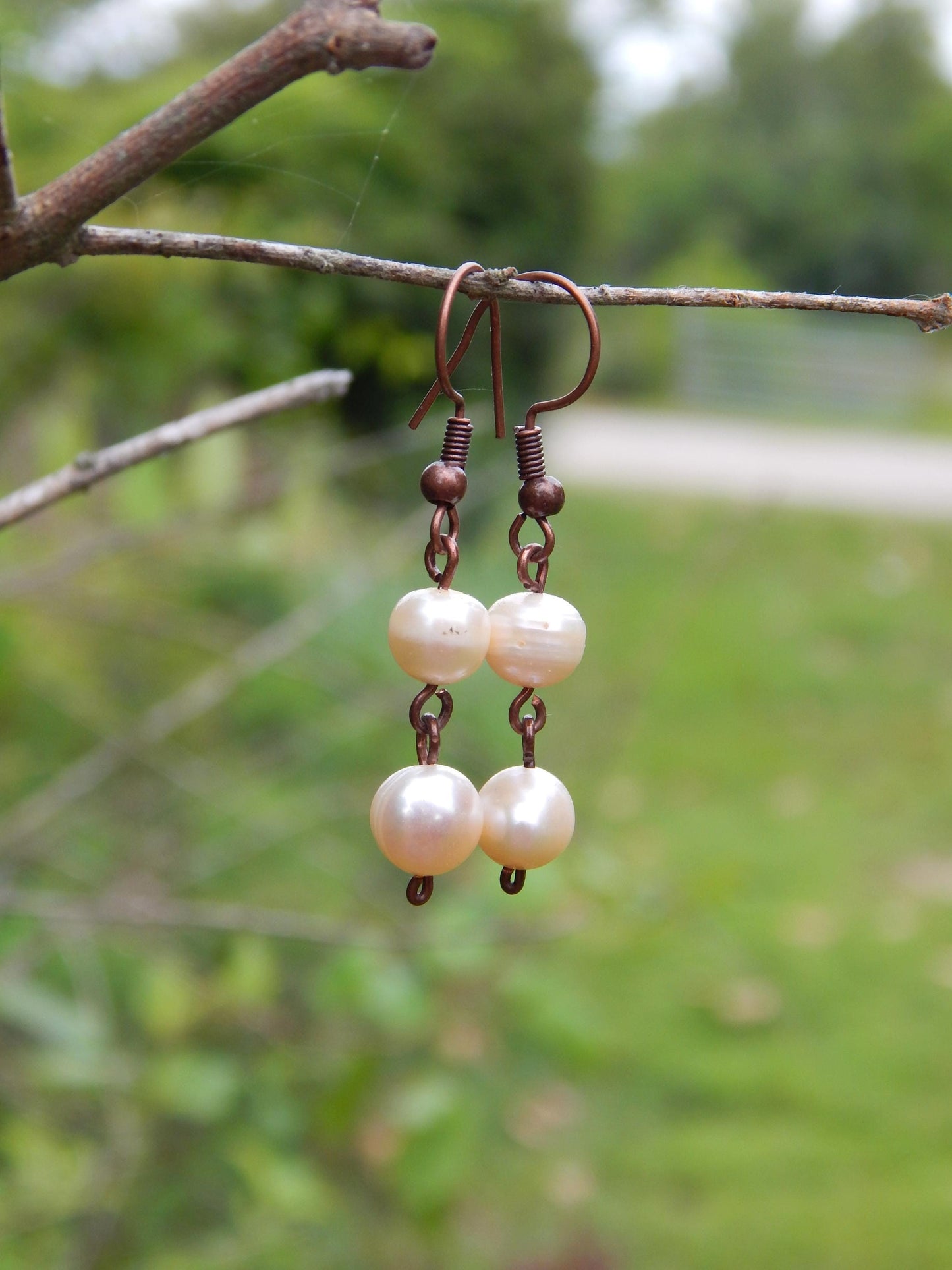 Freshwater pearl earrings