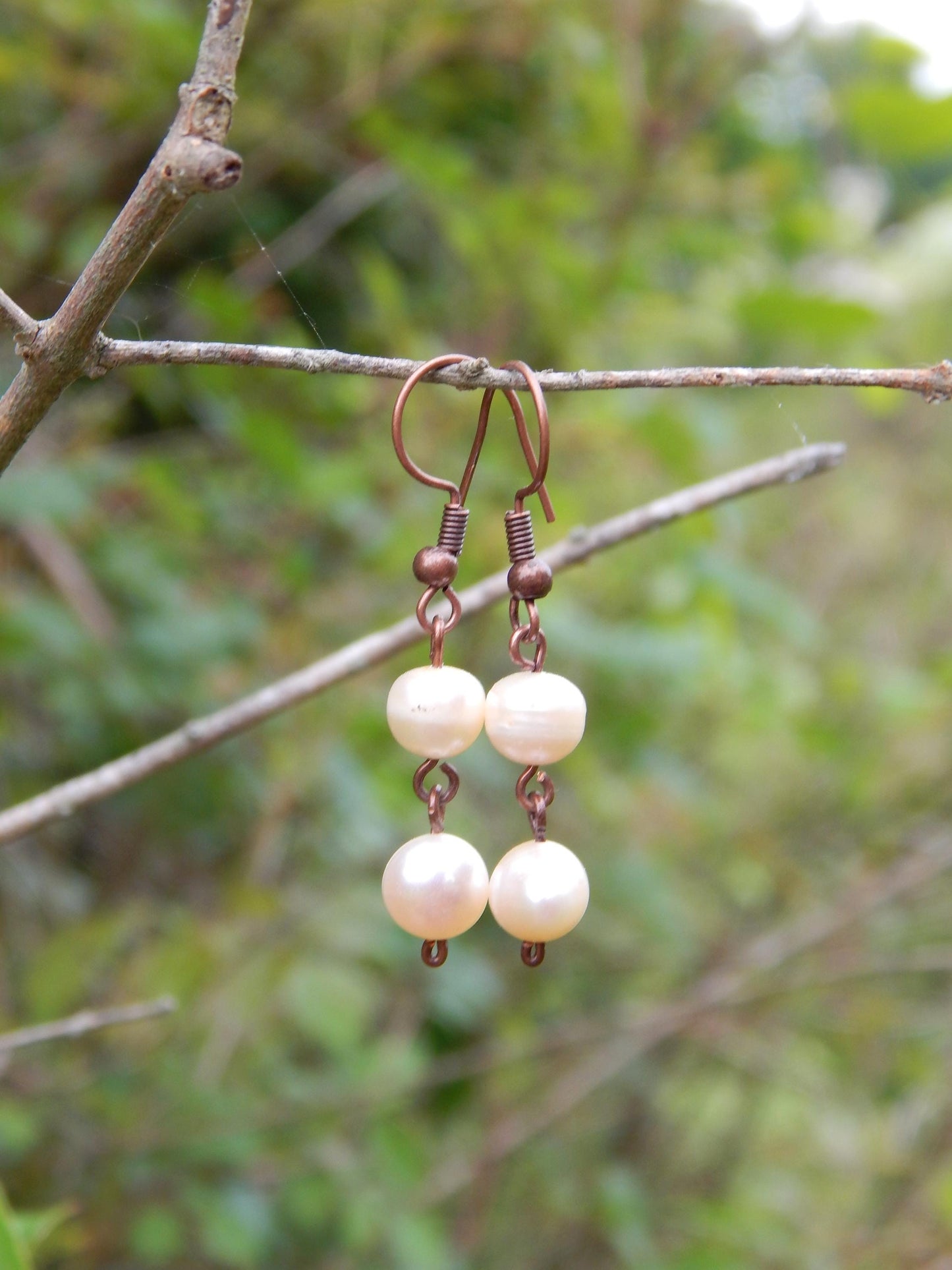 Freshwater pearl earrings