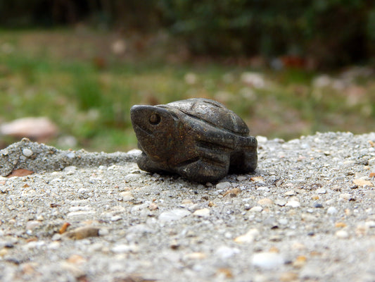 Iron pyrite crystal turtle carving